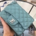 Chanel Bag 110 17cm genuine lambskin